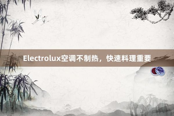 Electrolux空调不制热，快速料理重要
